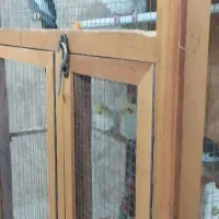 عروس هلندی لوتینو و خاکستری دستی