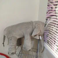 عروسک های بزرگ