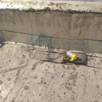 قفس پرنده با وسایل جانبی|لوازم جانبی حیوانات|اندیشه, شهرک مریم|دیوار