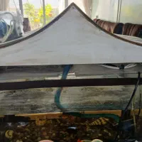 آکواریوم|ماهی|اصفهان, ارداجی|دیوار