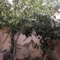 فروش-استثنائی-ملک-کلنگی-200-متری