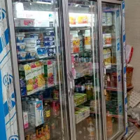 یخجال فروشگاهی سه درجادار