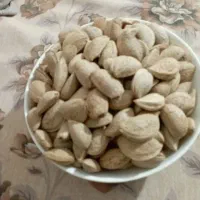 بادام|خوردنی و آشامیدنی|شیراز, قلعه نو|دیوار