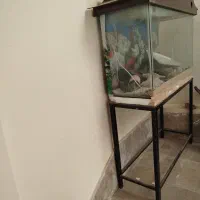 فروش آکواریوم