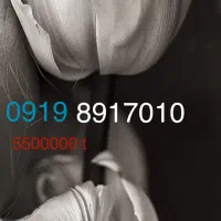 خط همراه اول