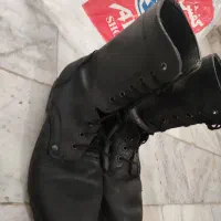 پوتین