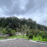 استخدام سرایدار،باغبان