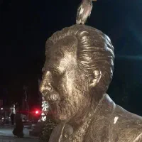 مرغ مینا گمشده|پرنده|قزوین, |دیوار