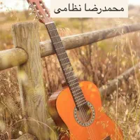 فروش و آموزش گیتار پاپ