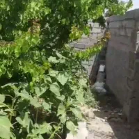 اجاره ۲۵۰ متر ویلایی دربست