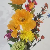 گلهای متنوع خارجی