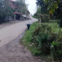 ویلای قدیمی ۳۱۰ متر روی ارتفاع ویو تا دریا|فروش خانه و ویلا|اطاقور, |دیوار