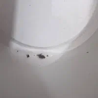 لباسشویی بوش