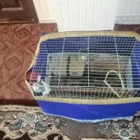 لوازم خانه وپرنده وکابینت و یخچال و تنور گازی