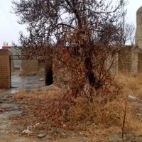 زمین سند شش دانگ مسکونی ۸۵۵ متر|فروش زمین و ملک کلنگی|گلپایگان, |دیوار