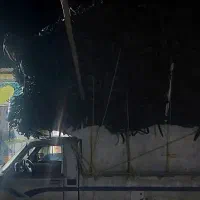 خرید تیپ ضایعاتی تحویل خنجشت۳۷تا۴۰تومان تسویه نقد|خدمات باغبانی و درختکاری|اقلید, |دیوار