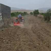 باغ ، زمین باغی