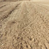 اجاره-زمین-کشاورزی