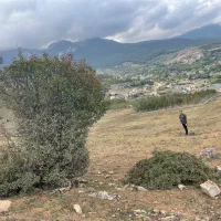 زمین ویلایی لنگر|فروش زمین و ملک کلنگی|کیاسر, |دیوار