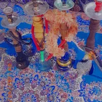 4عدد قلیون میوه ای