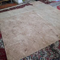 موکت|موکت|اهواز, کمپلو جنوبی|دیوار