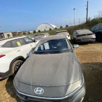 النترا ۲۰۲۵ انواع رنگ مشک نوک مدادی سفید