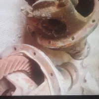 فروش دوعددکله گاوی پیکان|قطعات یدکی و لوازم جانبی|زارچ, |دیوار