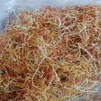 ریشه زعفران