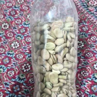 باقالی عمده|عمده‌فروشی|رشت, چله خانه|دیوار