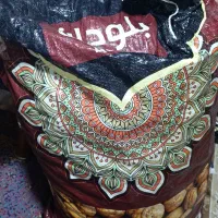 گردو عمده تازه