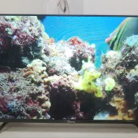 تلویزیون سایز ۴۳ اینچ LED