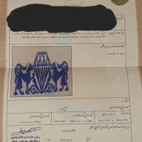 علامت تجاری خاص و مدرن