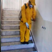 سم پاشی ساس سوسک مورچه مگس موش