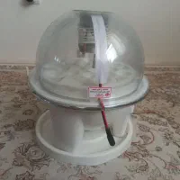 دستگاه جوجه کشی خانگی