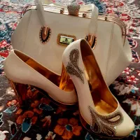 کیف و کفش مجلسی