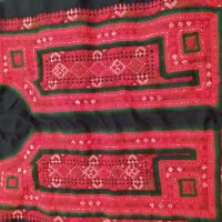 ذی واستین کشوجوک