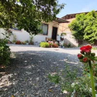 ویلاباغ ۱۰۰۰متر سندتک برگ|فروش خانه و ویلا|آمل, |دیوار