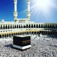 فیش حج تمتع(واجب)۸۶/۳