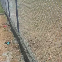 خدمات باغبانی و فنس کشی|خدمات باغبانی و درختکاری|همدان, |دیوار