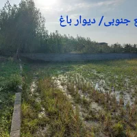 فروش زمین کشاورزی|فروش زمین و ملک کلنگی|زرگرشهر, |دیوار
