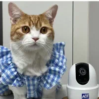 دوربین مداربسته ،خدمات برقکاری (ساختمان،وعیب یابی)