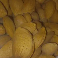 بادام دیم خراسان