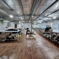 استتخدام نیرو در تولیدی پوشاک زنانه|استخدام صنعتی، فنی، مهندسی|صباشهر, |دیوار