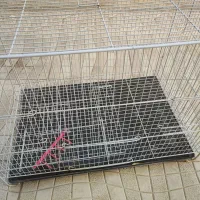 قفس پرنده|لوازم جانبی حیوانات|چناران, |دیوار