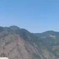 فروش دو قطعه زمین ۲۲۰ متری با ویوی رویایی در پالند|فروش زمین و ملک کلنگی|آلاشت, |دیوار