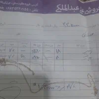 کمشد پلاک  طلا