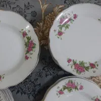 چینی گل سرخی|ظروف سرو و پذیرایی|گرگان, |دیوار