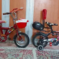 دو عدد دوچرخه ۱۲