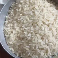 برنج کامفیروزی خوش پخت و طعم به شرط تناژ|خوردنی و آشامیدنی|کامفیروز, |دیوار