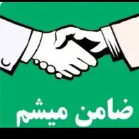 ضامن Bهستم واسه ضمانت